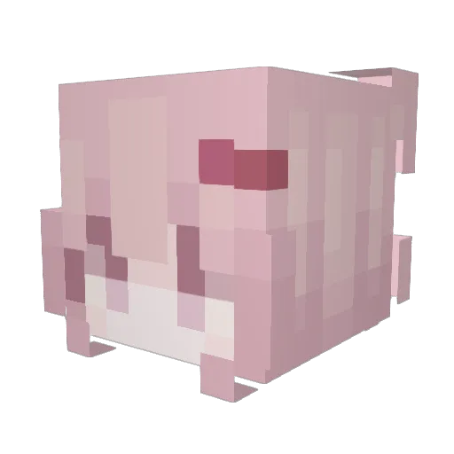 circle_god Minecraft avatar head, 3D render