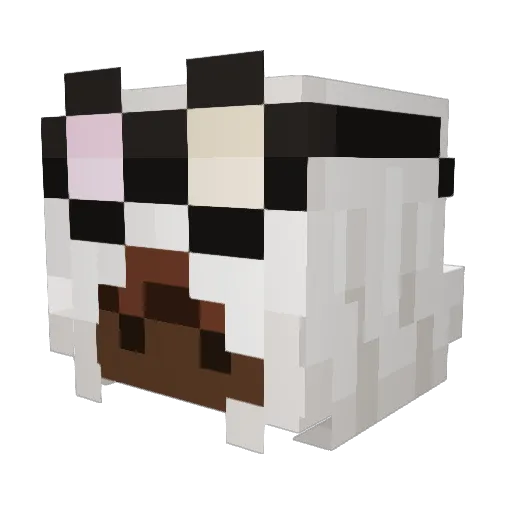 circled4ever Minecraft avatar head, 3D render