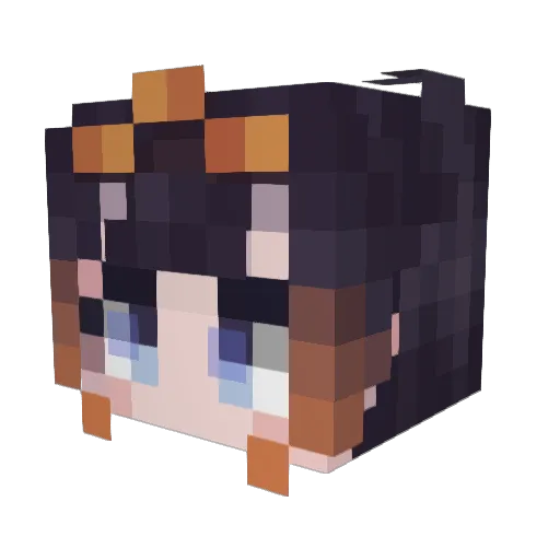 circleii Minecraft avatar head, 3D render