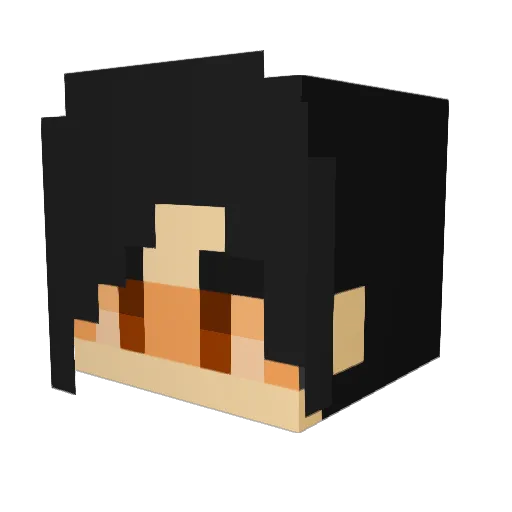 circuitbreakr Minecraft avatar head, 3D render