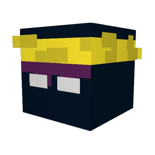 Minecraft-Avatar von circulaire: Kopf als 3D-Render
