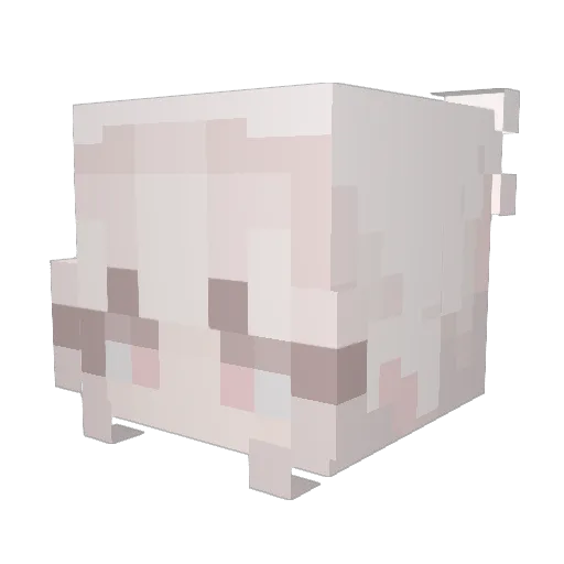 cirrus33 Minecraft avatar head, 3D render