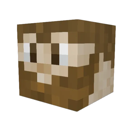 ciscokid43 Minecraft avatar head, 3D render
