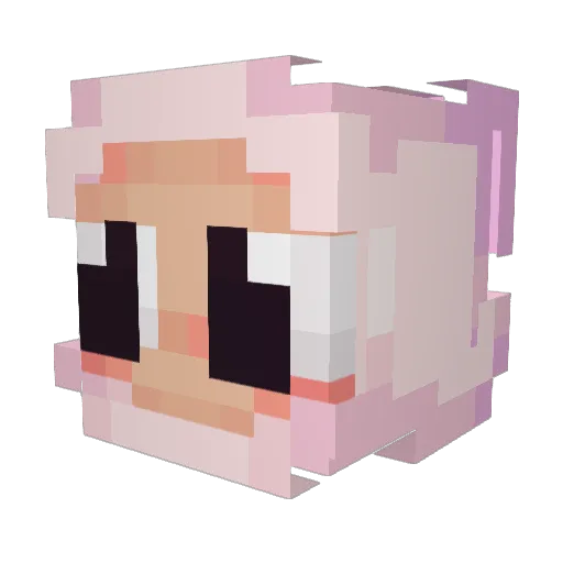 citall Minecraft avatar head, 3D render