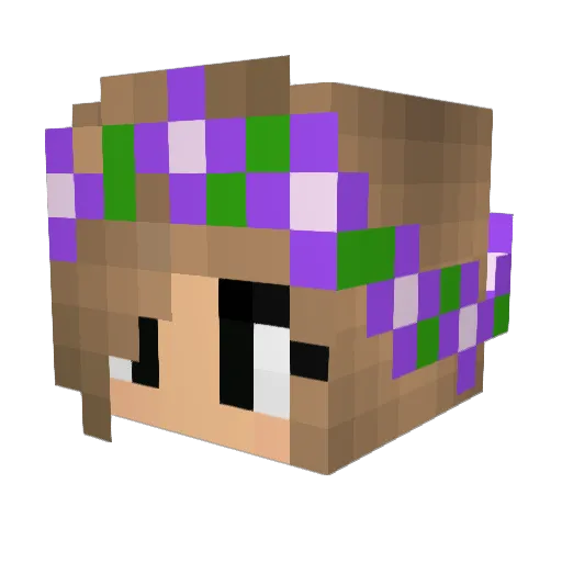 citcat_36 Minecraft avatar head, 3D render