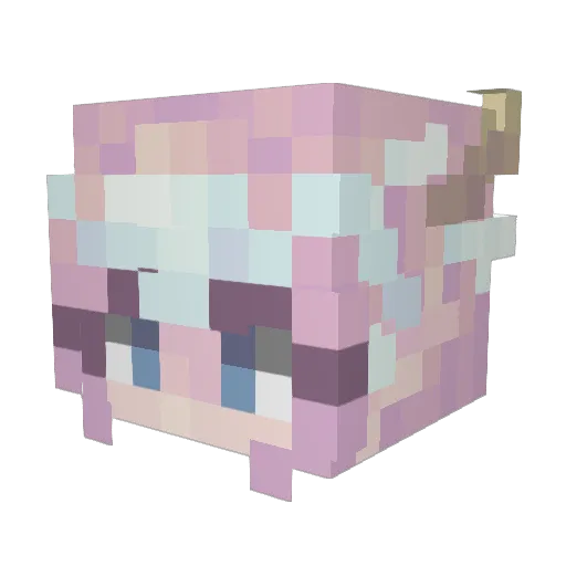 citrusiuke Minecraft avatar head, 3D render