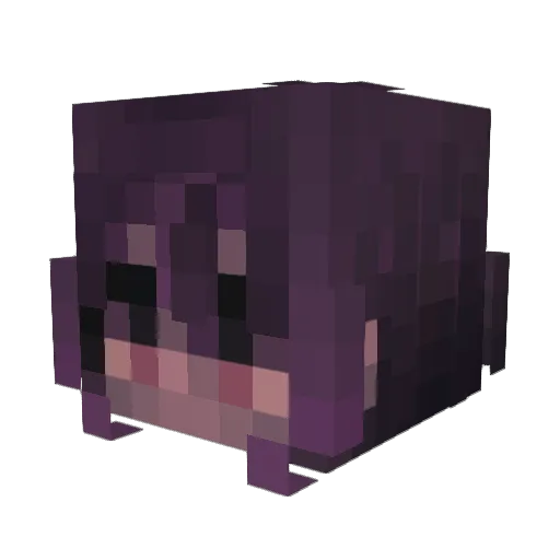 citruspixie Minecraft avatar head, 3D render