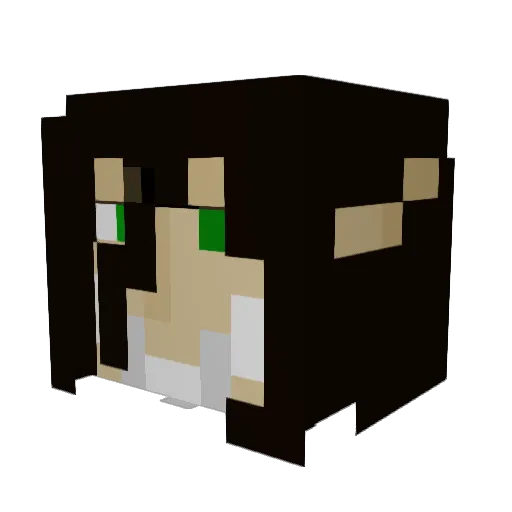 citsatcam Minecraft avatar head, 3D render
