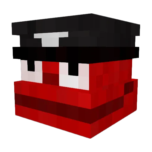 citty14 Minecraft avatar head, 3D render