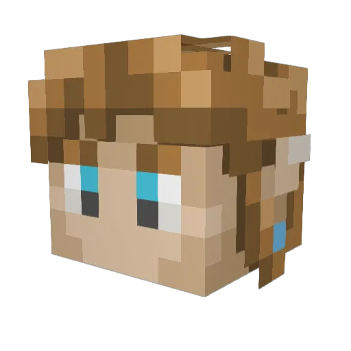 cityboundforest Minecraft avatar head, 3D render