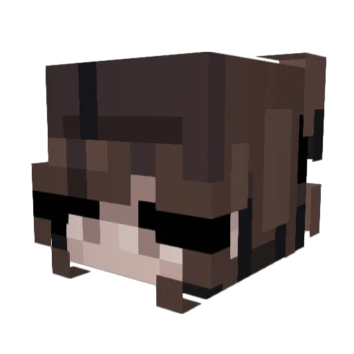 cityka Minecraft avatar head, 3D render