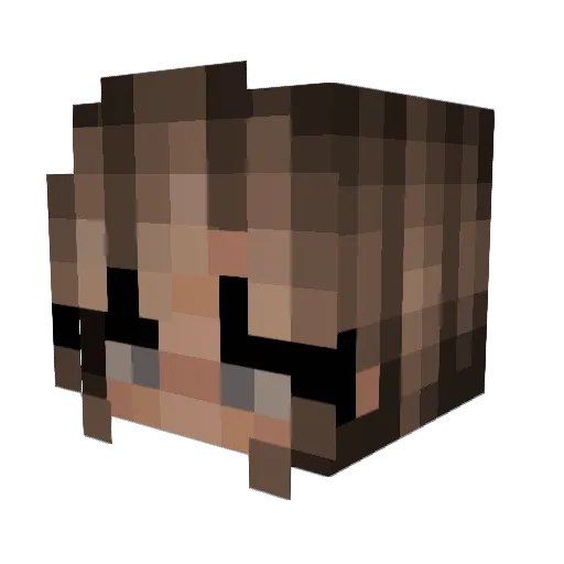 citylight122 Minecraft avatar head, 3D render