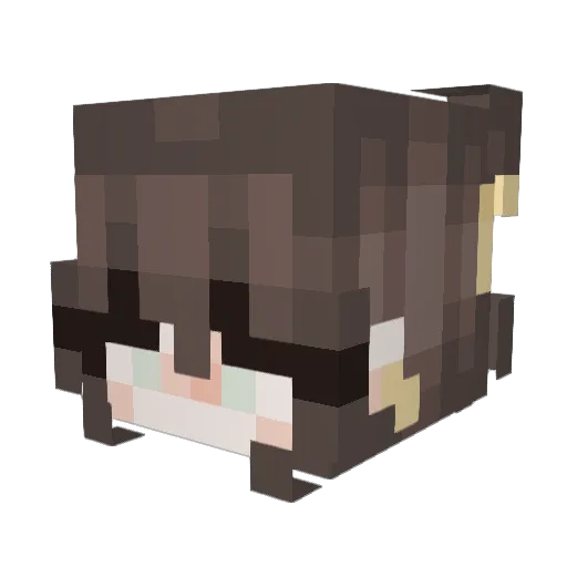 citylimits256 Minecraft avatar head, 3D render