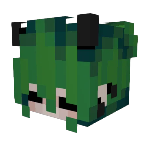 cjklesmit Minecraft avatar head, 3D render