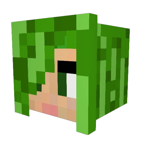 cjsomms Minecraft avatar head, 3D render