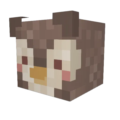 cjsrush Minecraft avatar head, 3D render