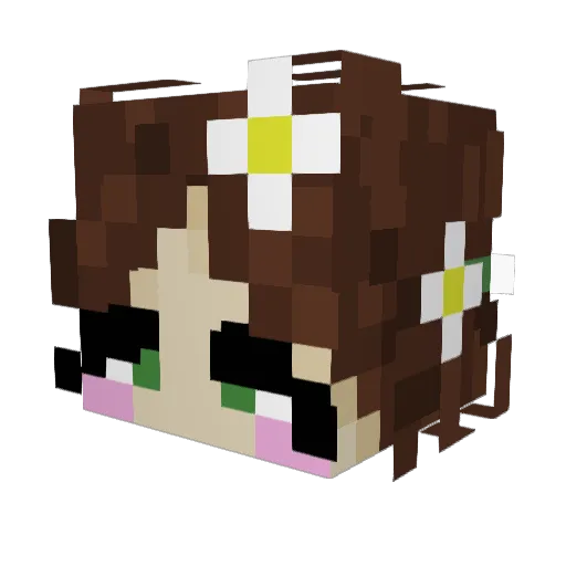 cjstpwls Minecraft avatar head, 3D render