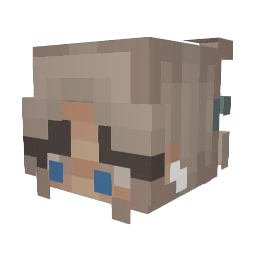 ckh294 Minecraft avatar head, 3D render