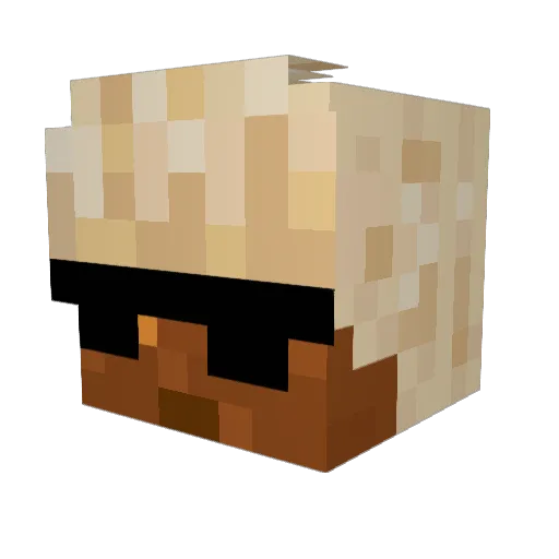 ckov33 Minecraft avatar head, 3D render