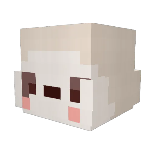 cks_2 Minecraft avatar head, 3D render
