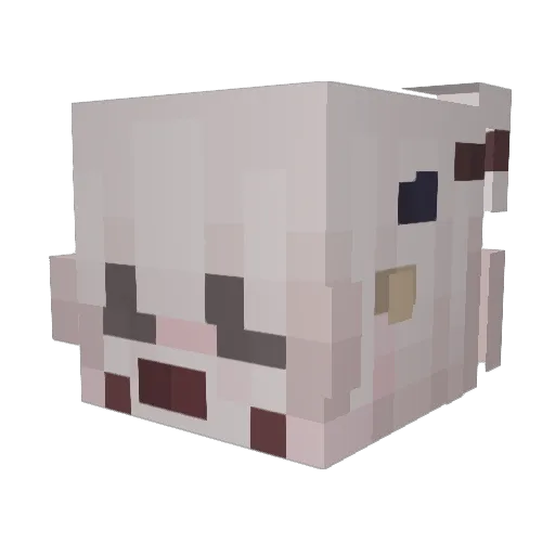 cl4un Minecraft avatar head, 3D render