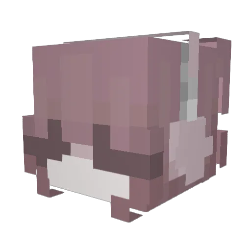claireMEOWMEOW Minecraft avatar head, 3D render