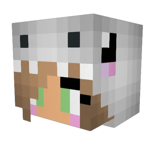 claire_bear986 Minecraft avatar head, 3D render