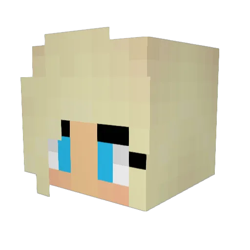 clairebee13 Minecraft avatar head, 3D render