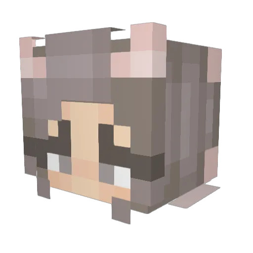 clairecorte Minecraft avatar head, 3D render