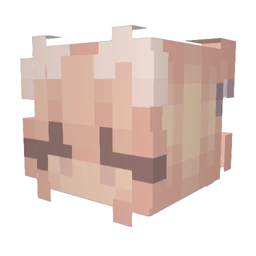 claraa33 Minecraft avatar head, 3D render