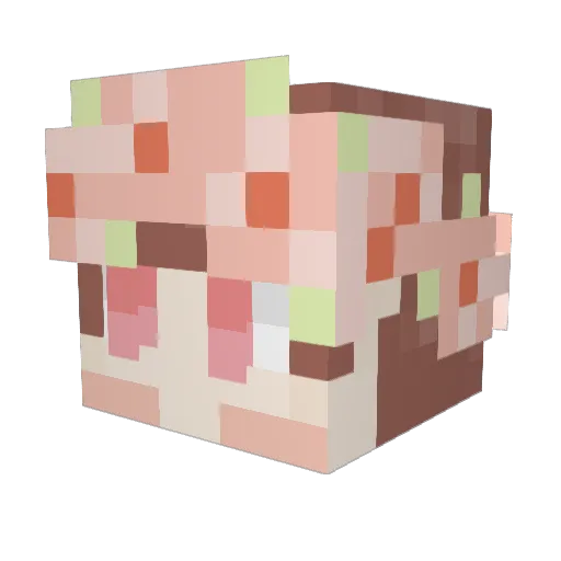clarinet_reeds Minecraft avatar head, 3D render