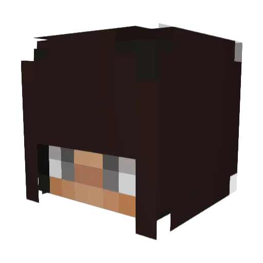 clarissass_09 Minecraft avatar head, 3D render