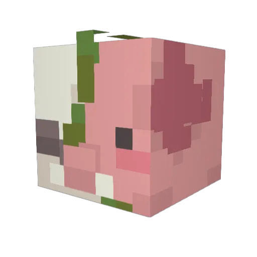 clarky_o Minecraft avatar head, 3D render