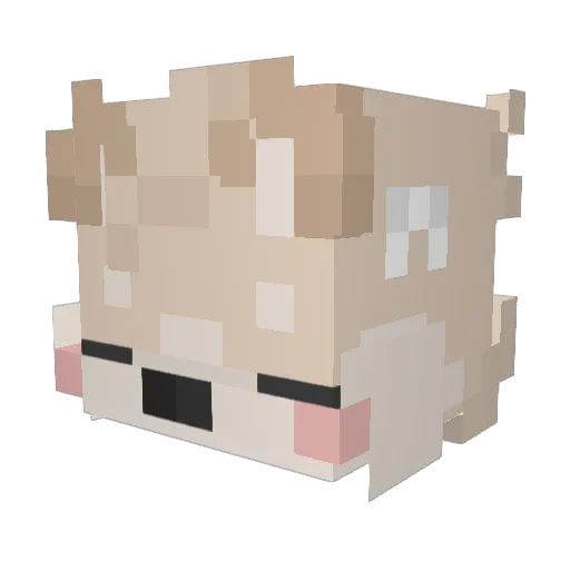 classified_idiot Minecraft avatar head, 3D render
