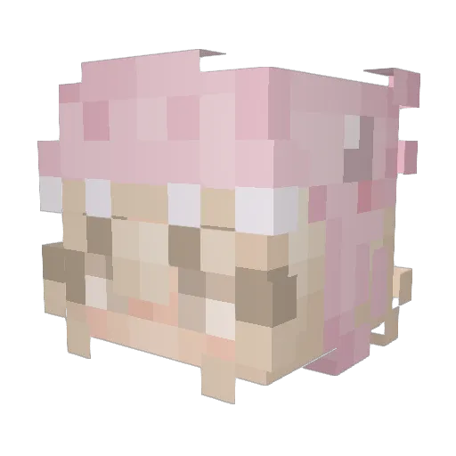 clawlessreindeer Minecraft avatar head, 3D render