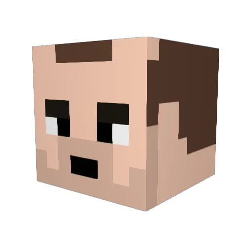 cleanwellys Minecraft avatar head, 3D render