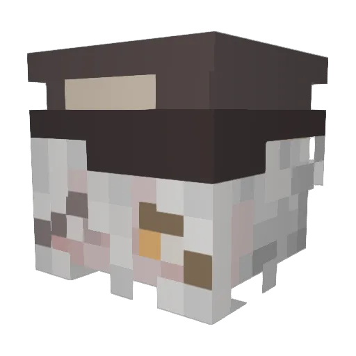 clemiee Minecraft avatar head, 3D render