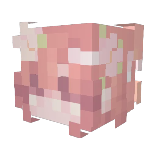 clemsky Minecraft avatar head, 3D render