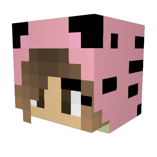 clemsonconnor12 Minecraft avatar head, 3D render