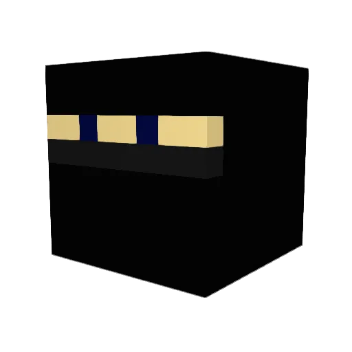 clemsoncraft24 Minecraft avatar head, 3D render