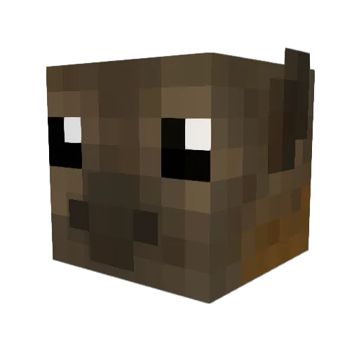cleomarsha11 Minecraft avatar head, 3D render