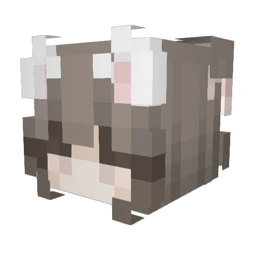 cleveren Minecraft avatar head, 3D render