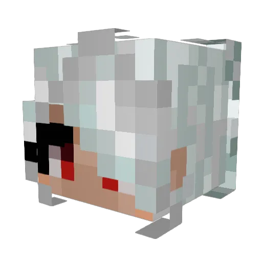 climatechange66 Minecraft avatar head, 3D render