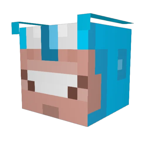 climbergeek Minecraft avatar head, 3D render