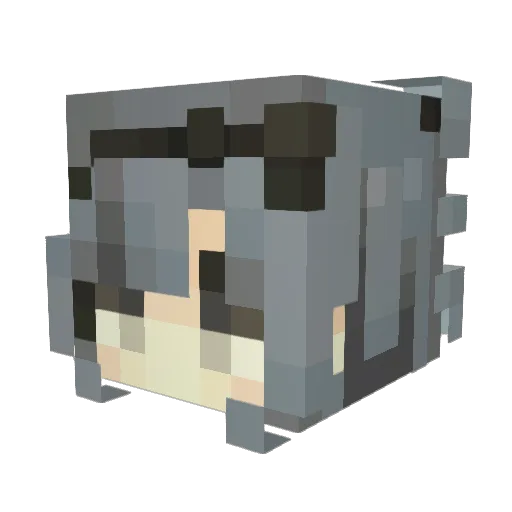 clionedoll Minecraft avatar head, 3D render