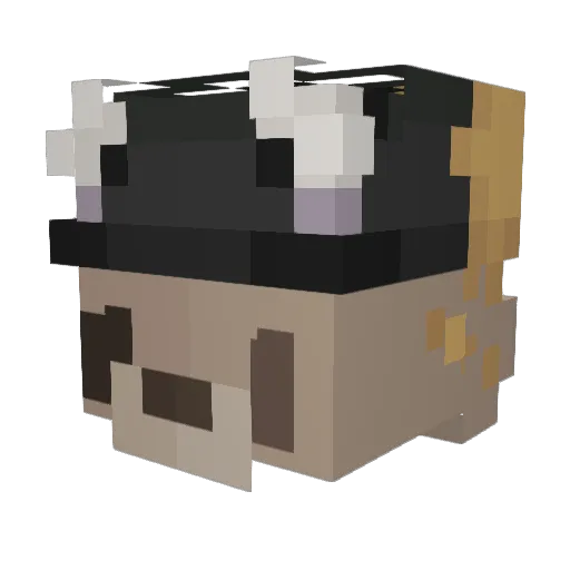cllouded Minecraft avatar head, 3D render