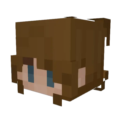 cloaca69 Minecraft avatar head, 3D render
