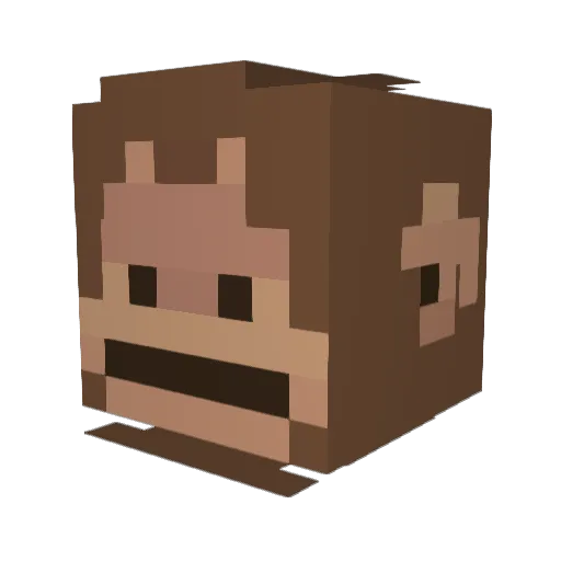 cloak__ Minecraft avatar head, 3D render