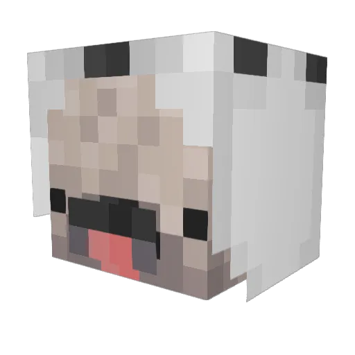 clocker498 Minecraft avatar head, 3D render