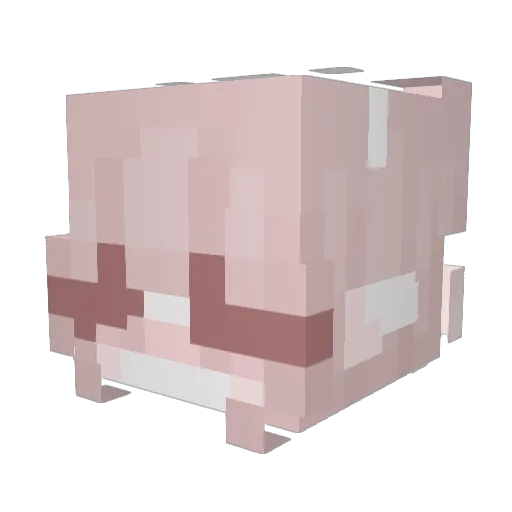 cloe1126 Minecraft avatar head, 3D render